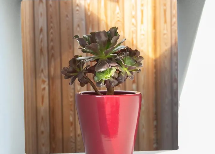 Marquise - Adults Only 5*